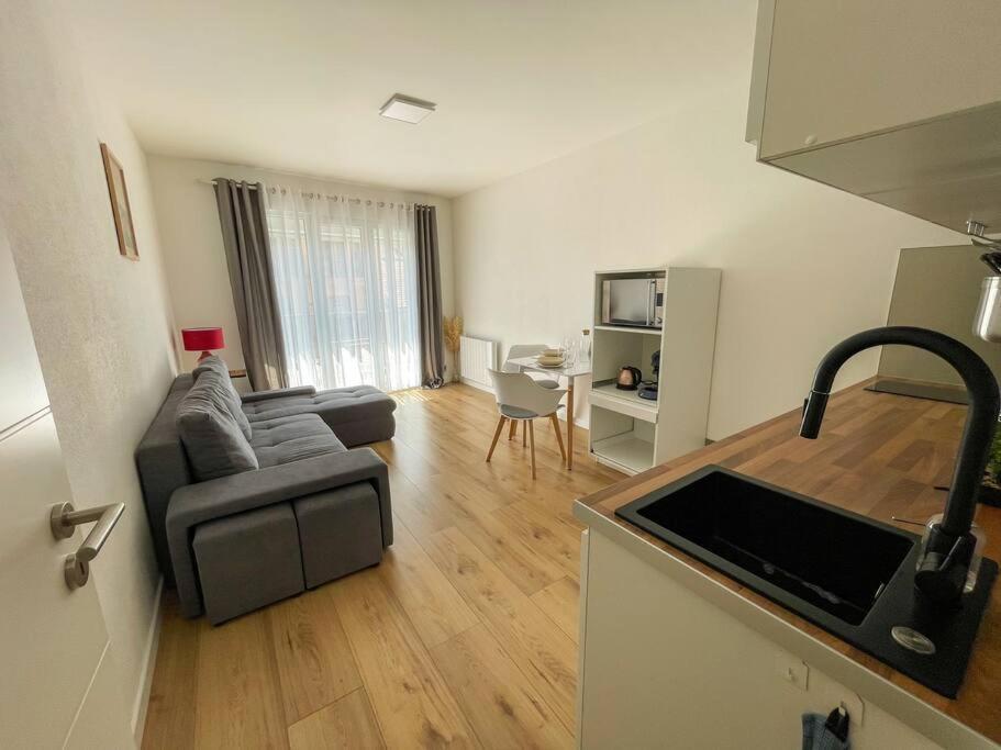Le Lagon Bleu - Appt Wifi Parking Balcon Le Puy-en-Velay Bagian luar foto
