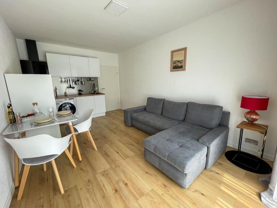 Le Lagon Bleu - Appt Wifi Parking Balcon Le Puy-en-Velay Bagian luar foto
