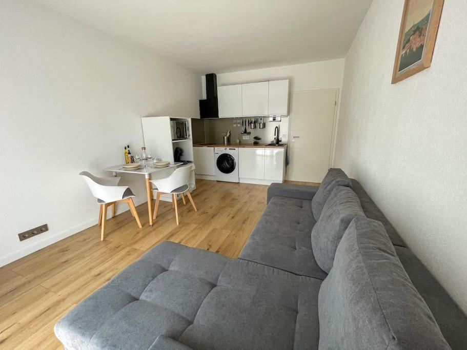 Le Lagon Bleu - Appt Wifi Parking Balcon Le Puy-en-Velay Bagian luar foto